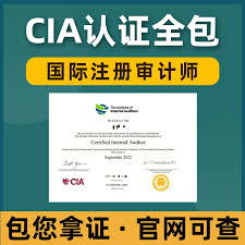 CIA认证考试代考,在线代考国际注册内部审计师-软过，包拿证