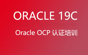 Oracle 19c OCP认证考试线上代考-甲骨文认证数据库专家软过