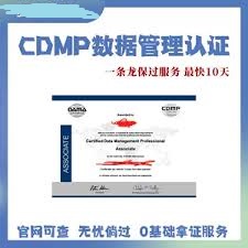 CDMP-P代考,CDMP-P证书免考-数据治理工程师(专家级)软过