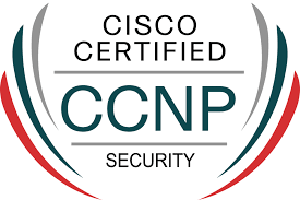 CCNP認證免考–Cisco認證資深網路工程師（CCNP）軟過