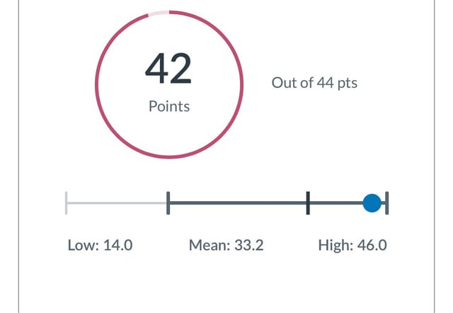 canvas作弊被抓概率大不大？還可以代考嗎？